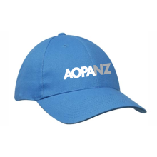 6 Panel Brushed Heavy Cotton Cap Caps from Challenge Marketing NZ