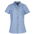 Indie Ladies Short Sleeve Shirt - S017LS Apparel from Challenge Marketing NZ